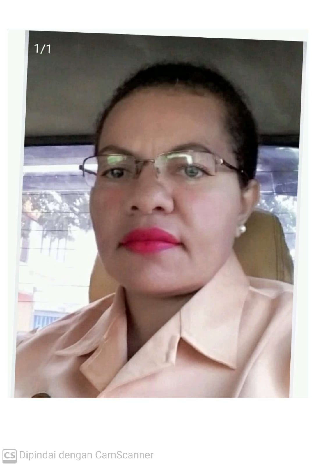 PASKAHLINA SROYER, S.Sos