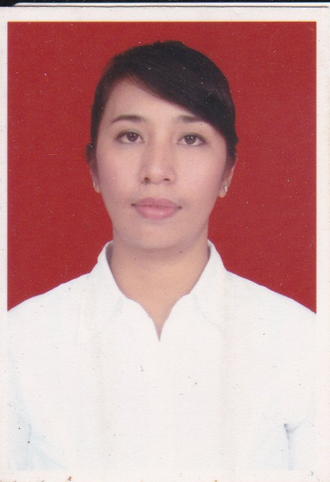 SUDARMI SALVERDA SANDY, S.T